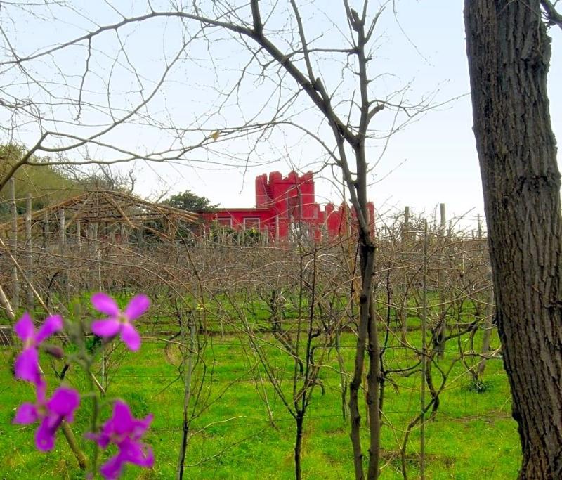 Albergo La Vigna image