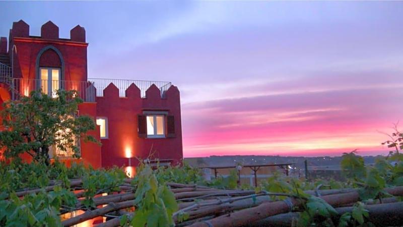 Albergo La Vigna image