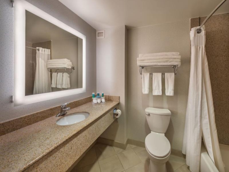 Holiday Inn Express & Suites Carson City image