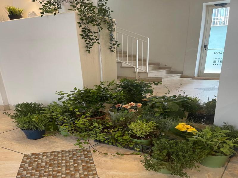 Residence Siesta image