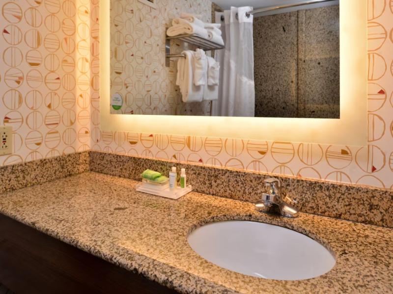 Holiday Inn Hotel & Suites Rochester - Marketplace image