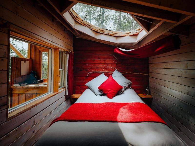 Canopee Lit image