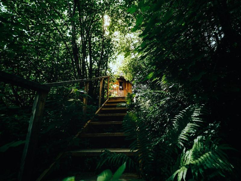 Canopee Lit image