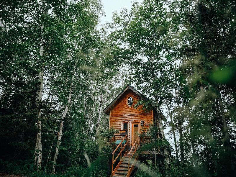 Canopee Lit image