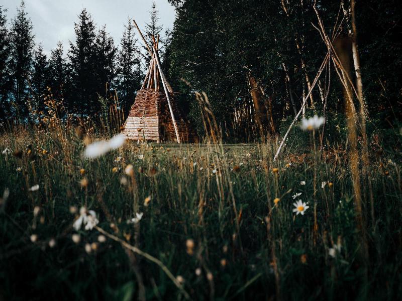 Canopee Lit image