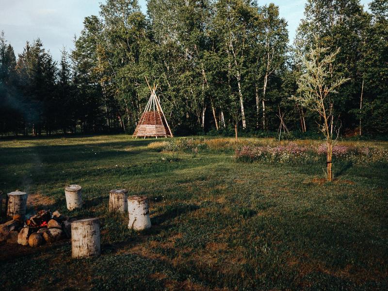Canopee Lit image