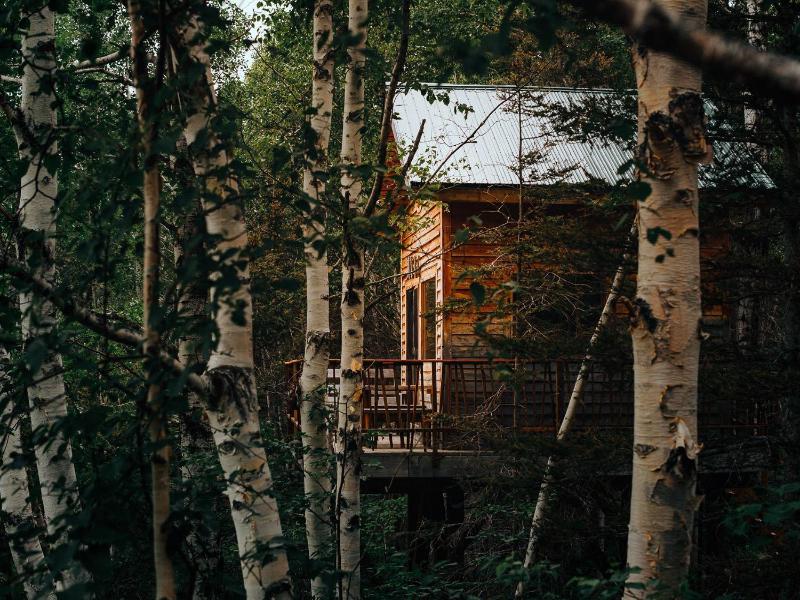 Canopee Lit image