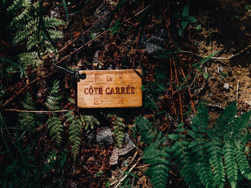 Canopee Lit image