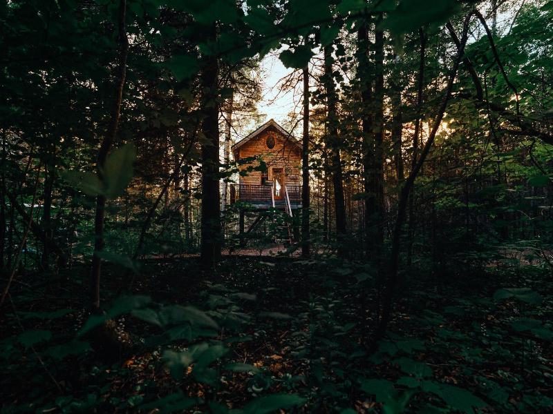 Canopee Lit image