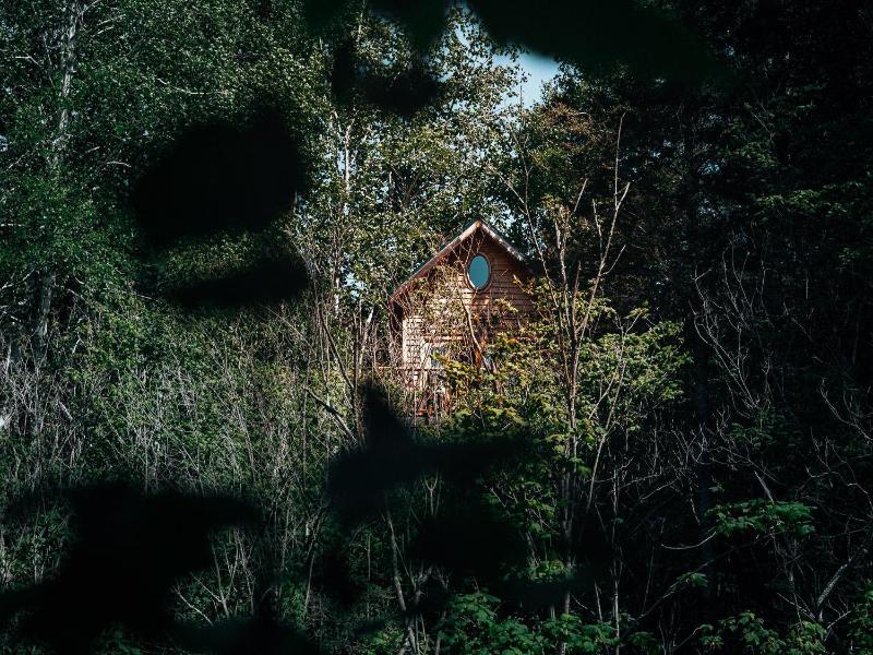 Canopee Lit image
