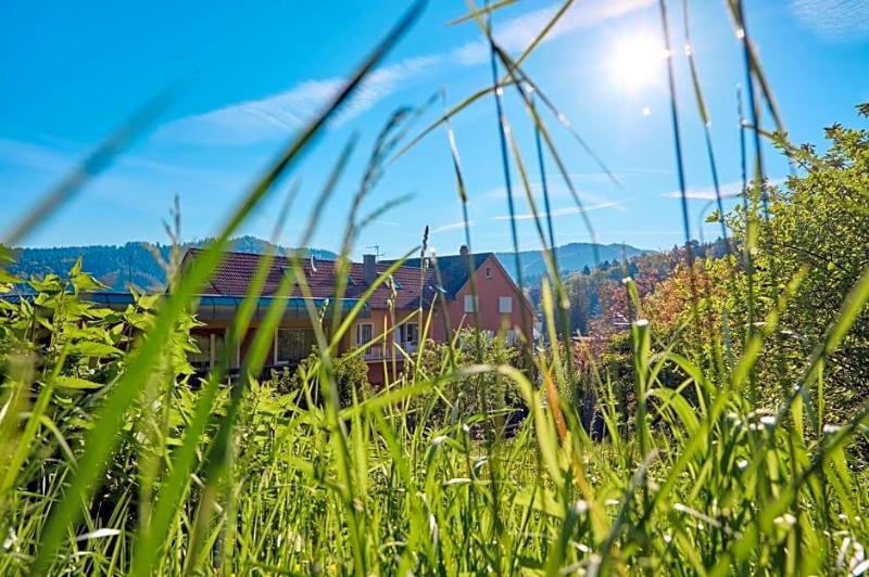 Morgensonne image