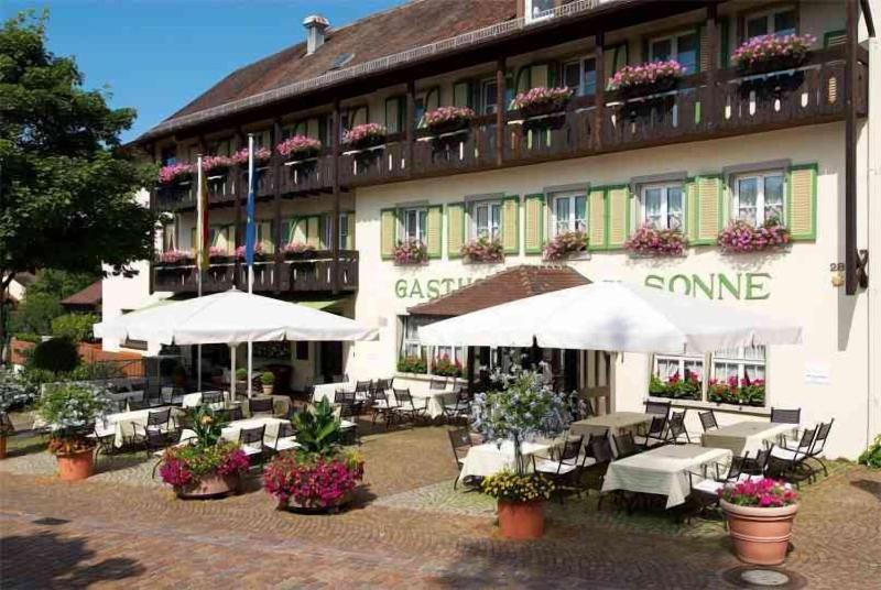 Sonne image