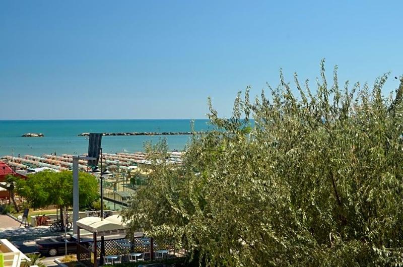 Nettuno image