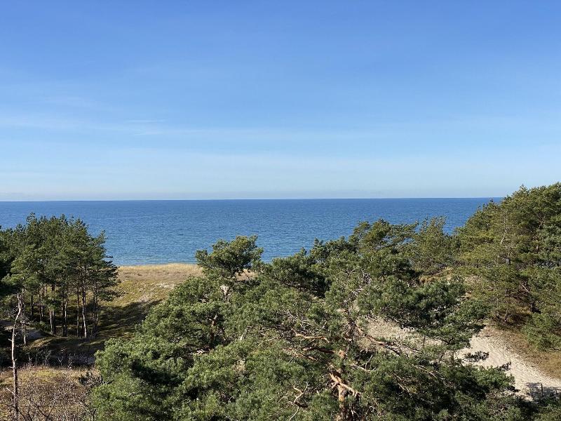 Fischland image
