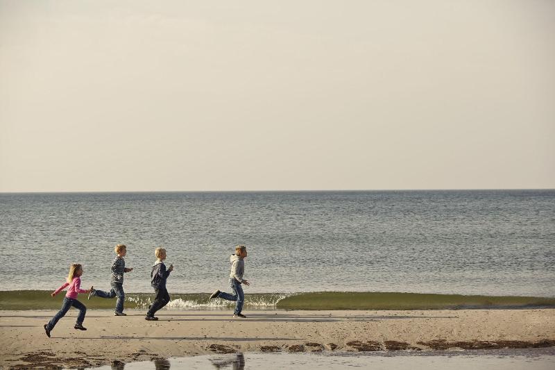 Fischland image
