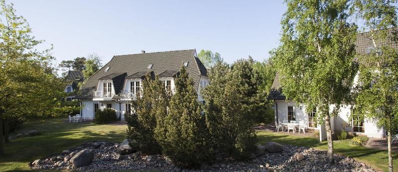 Fischland image
