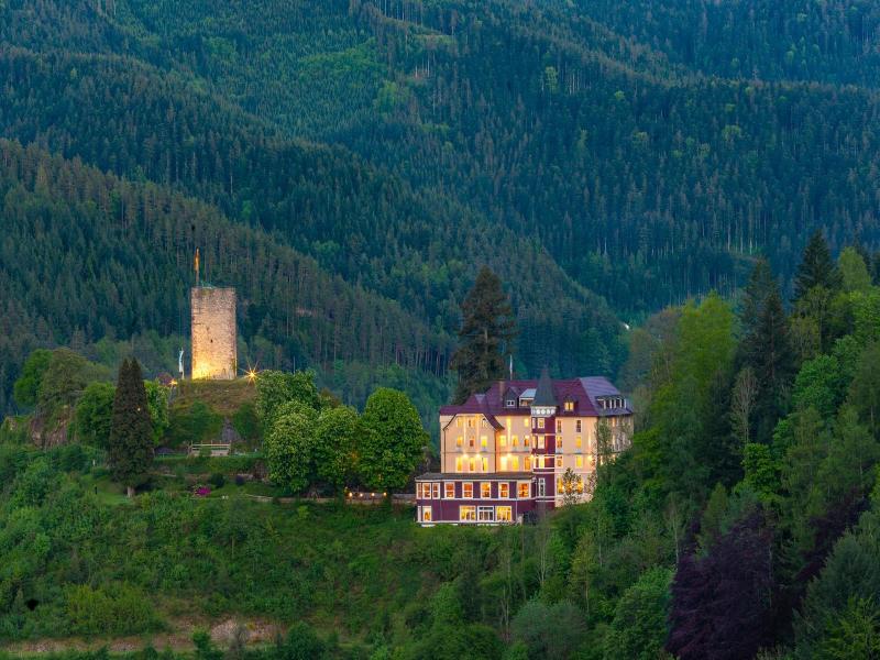 Schloß Hornberg image