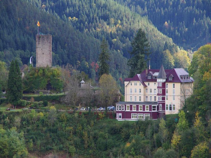 Schloß Hornberg image