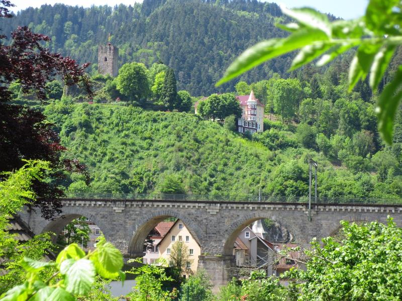 Schloß Hornberg image