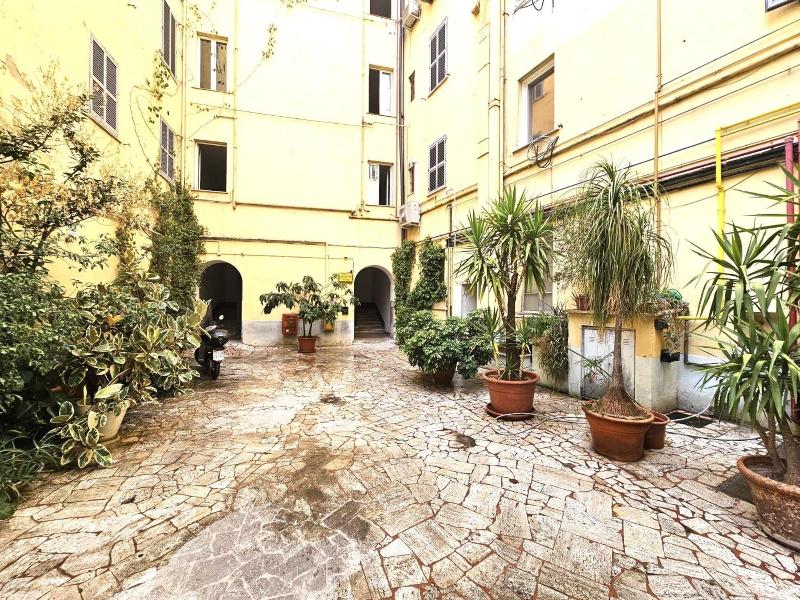 Moscatello image