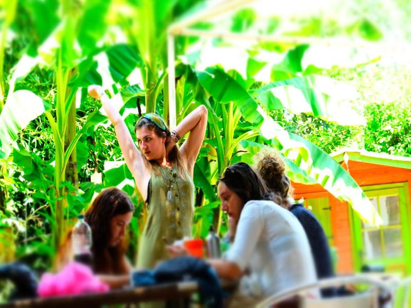 Wiki Hostel & Greenvillage image