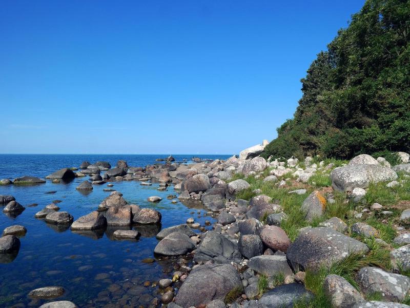 Windland image
