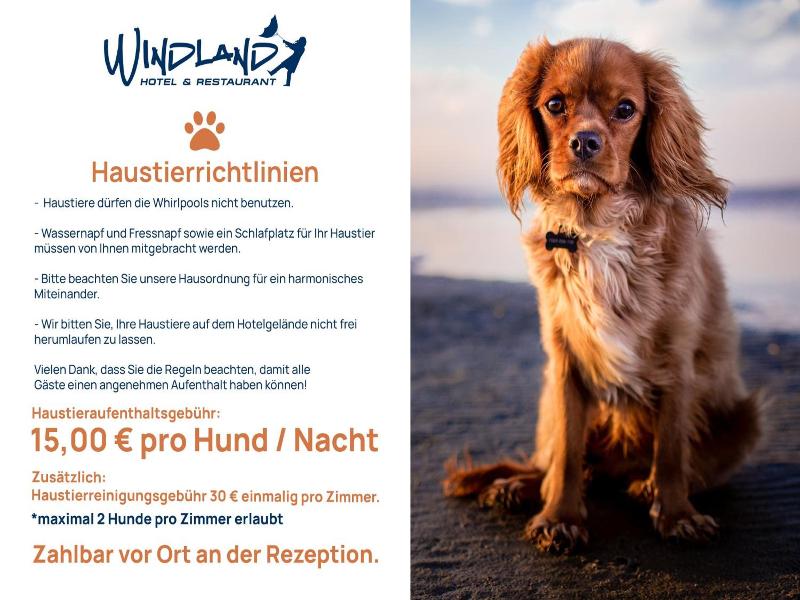 Windland image