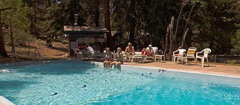 Nicky's Resort image