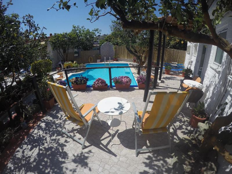 Rondinella image