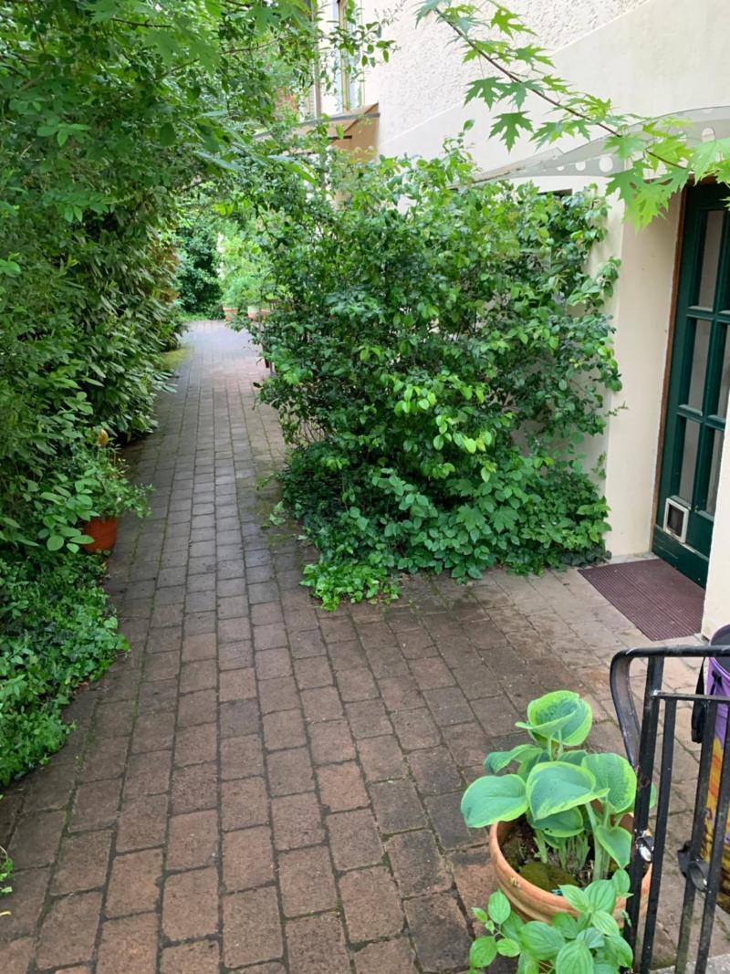 Christian Gartenhotel image