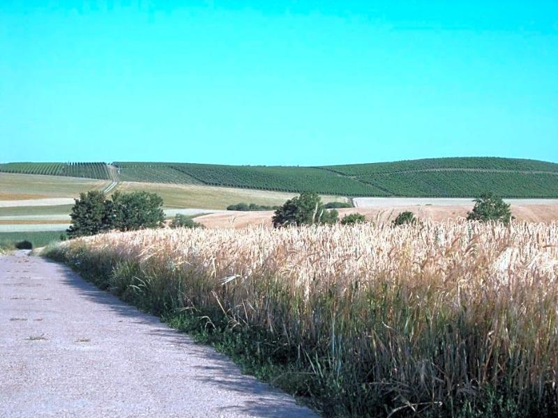 Christian Gartenhotel image