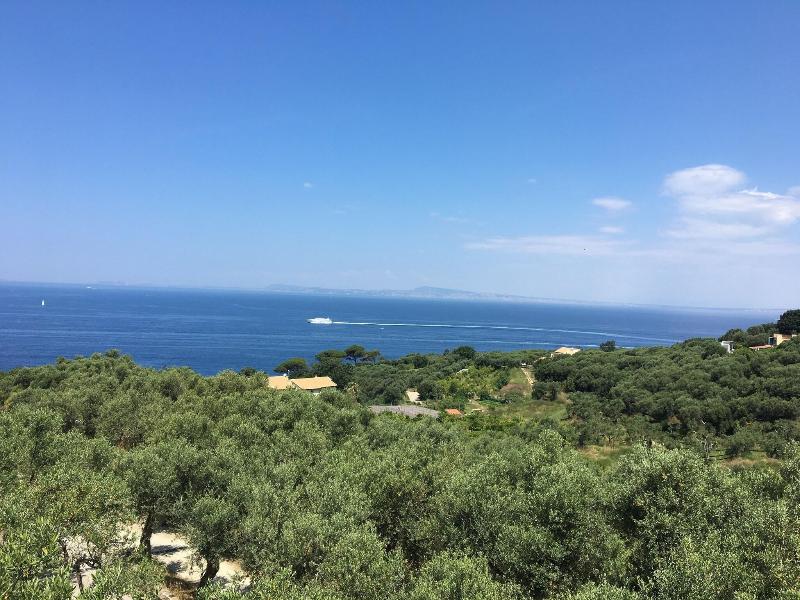 Dania image