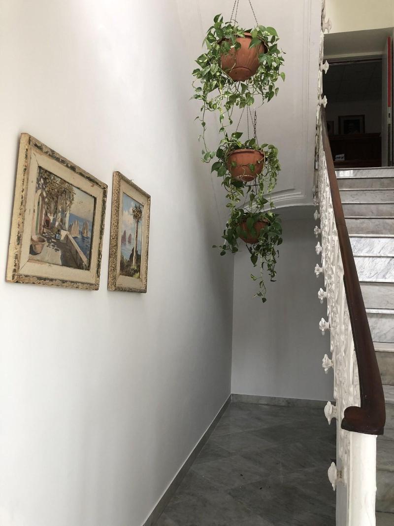 Dania image