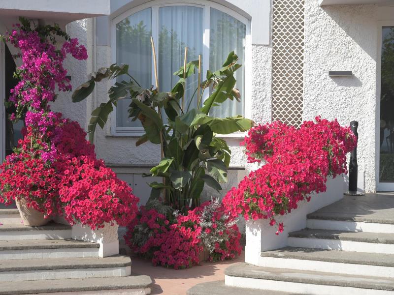 Bajamar Beach Hotel image