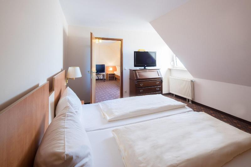 Hotel Maximilian image