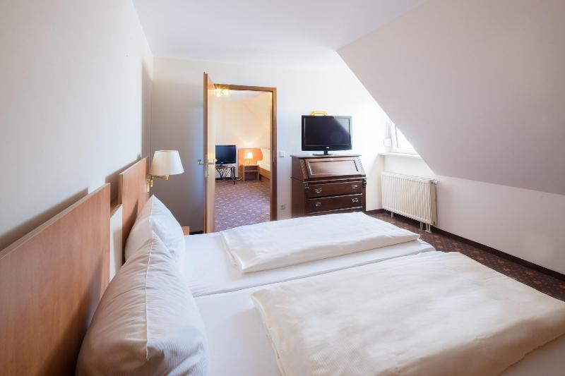 Hotel Maximilian image