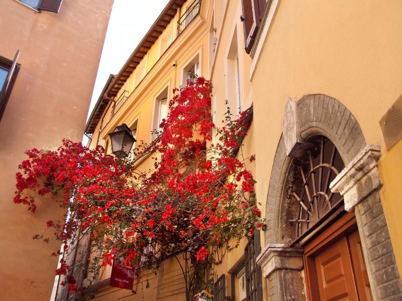 Bollo Apartments image