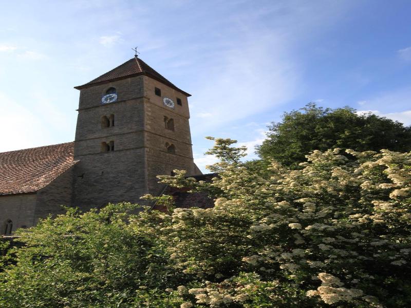 Schwarzes Lamm image