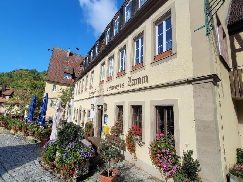 Schwarzes Lamm image