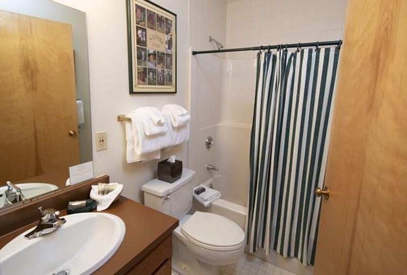 Mountain Lodge at Okemo, A Vail Resorts Property image