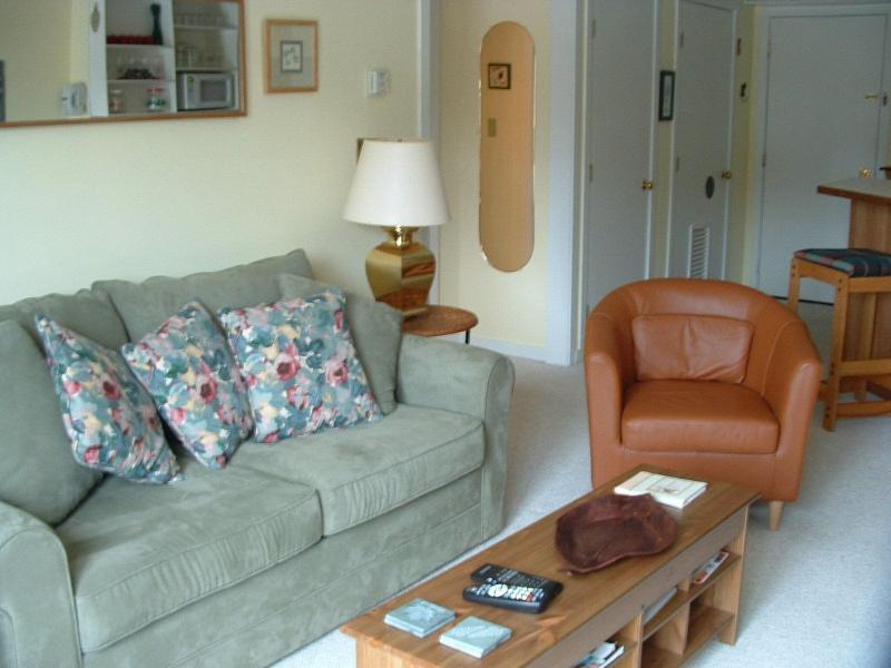 Mountain Lodge at Okemo, A Vail Resorts Property image