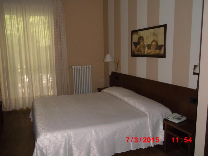 Hotel Pontevecchio image