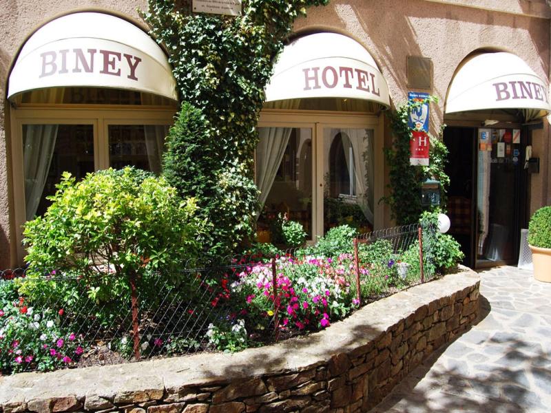 Hôtel Biney  image
