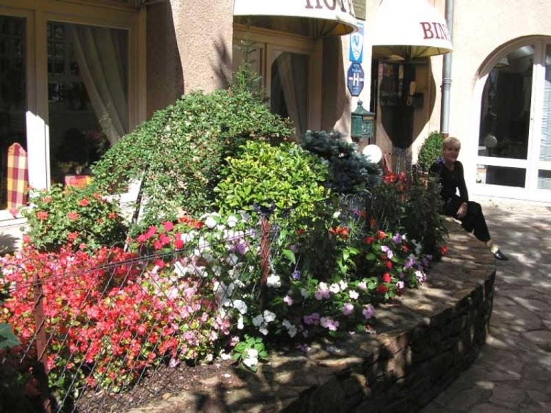Hôtel Biney  image