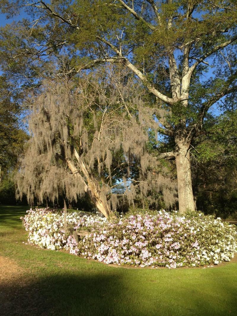 Monmouth Historic Inn & Gardens image
