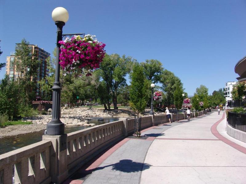 Plaza Resort Club — general view