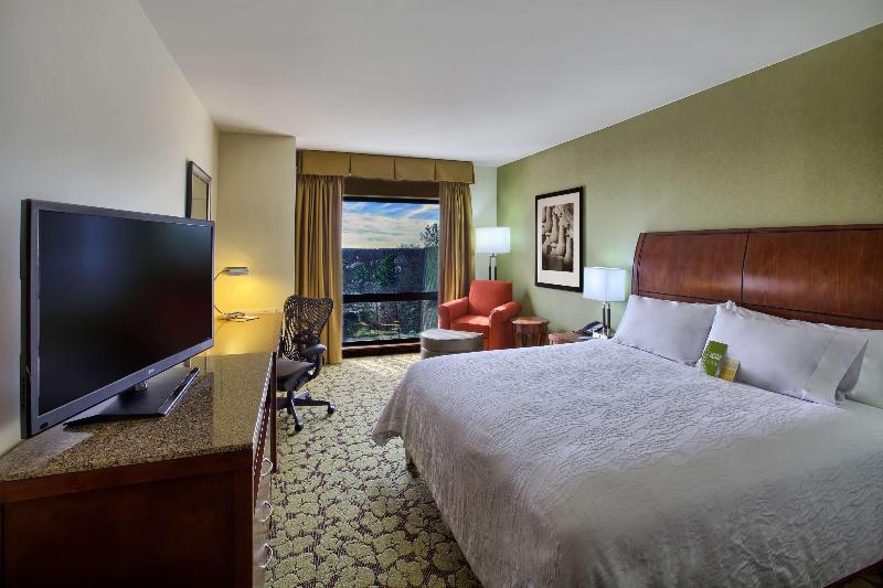 Hilton Garden Inn Durham/University Medical Center image
