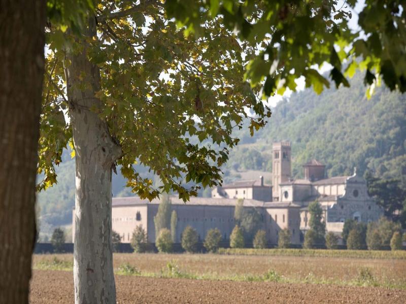 Terme Preistoriche image
