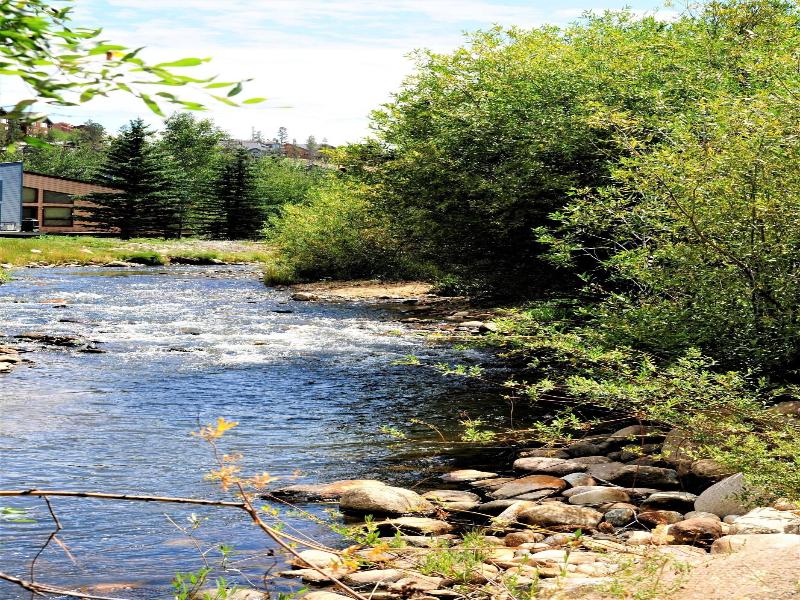 Twin Rivers