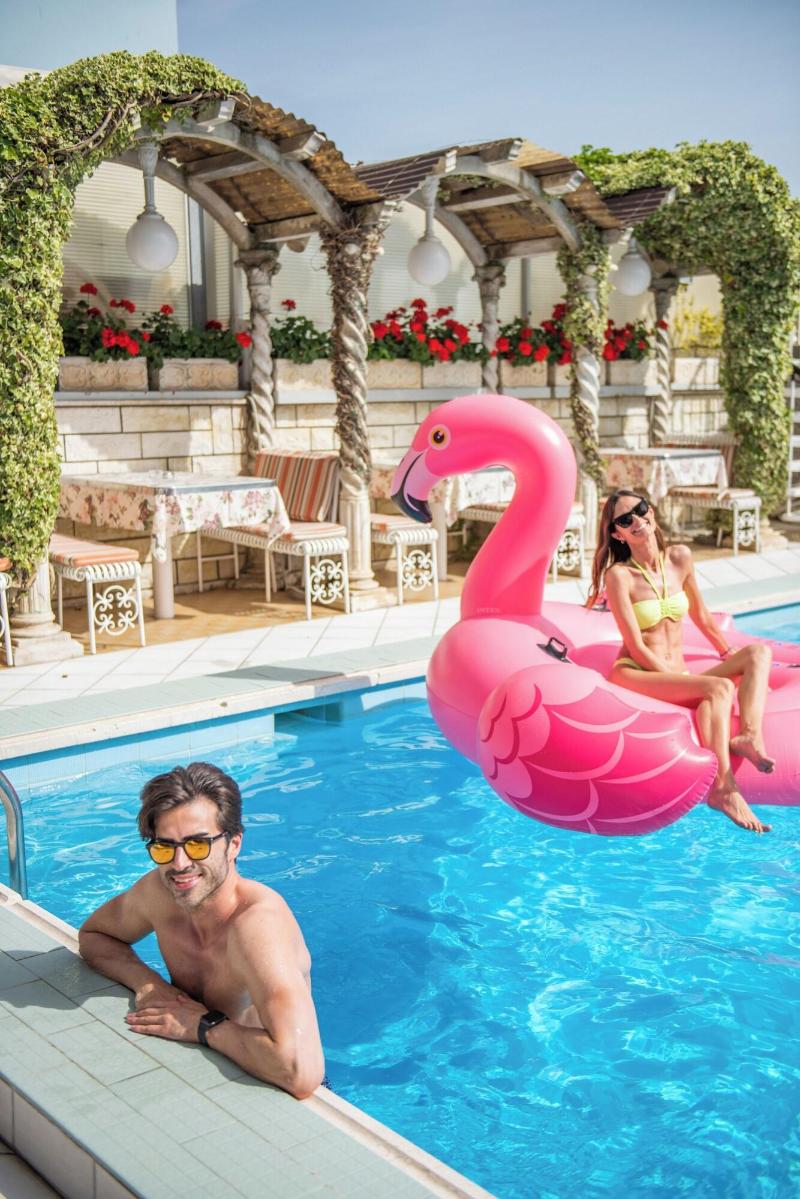 Flamingo image